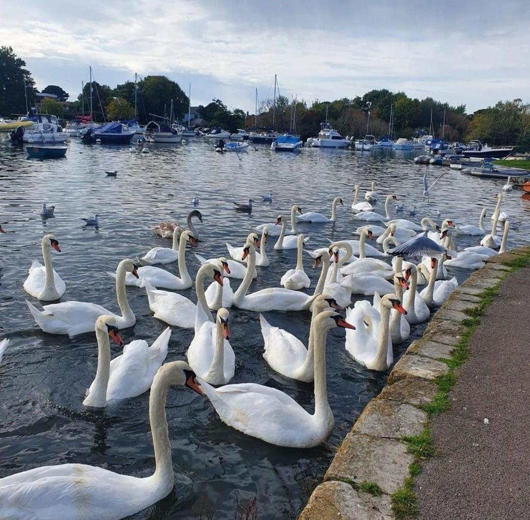 Апартаменты Mudeford Swans Христчёрч Экстерьер фото